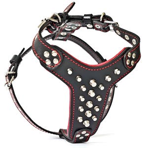 Bestia &quot;Rocky&quot; leather studded dog harness. 100% hand made & genuine leather. French Bulldog size