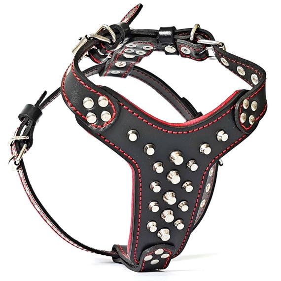 Bestia rocky Leather Studded Dog Harness. 100 Hand Made Genuine Leather. French Bulldog Size Etsy Canada