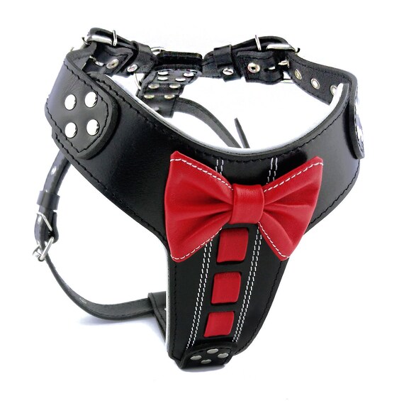 unique dog harness