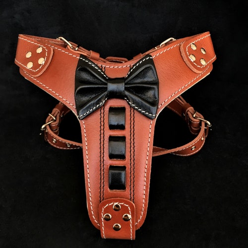 Bestia™ Genuine Leather hektor Harness. Rivet - Etsy