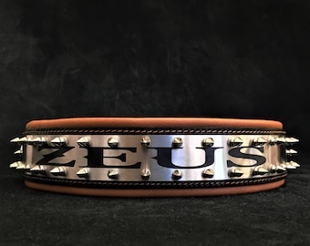 Personalized Leather Dog Collar, Spiked Stainless Steel Plate, Wide Padded Collar