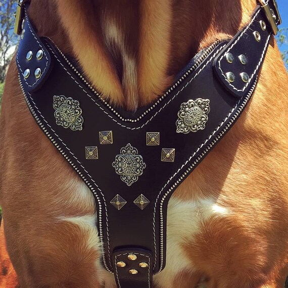 Bestia Genuine Leather aztec Dog Harness. Old Silver Brass