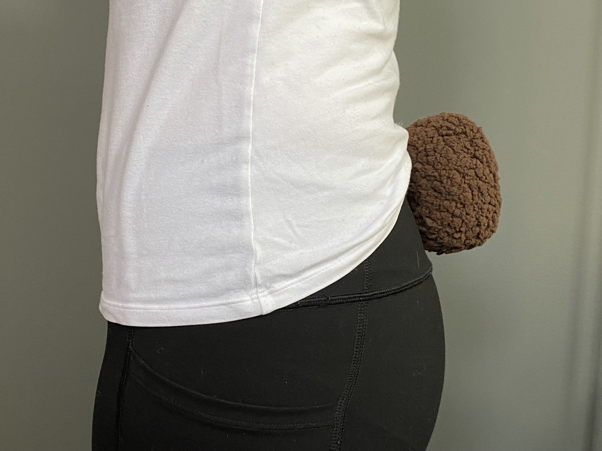 This Bear Tail Photo Will Change Your Life! - 3ft6ud7
