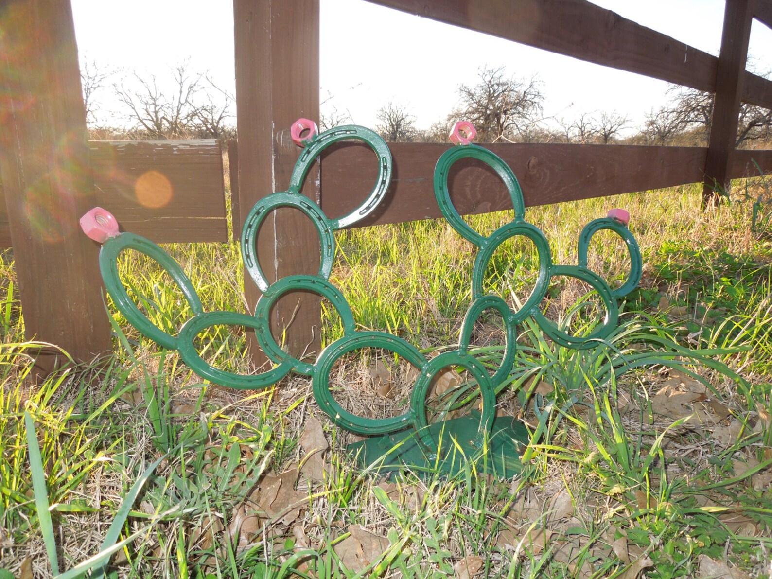 Horseshoe Prickly Pear Cactus Etsy