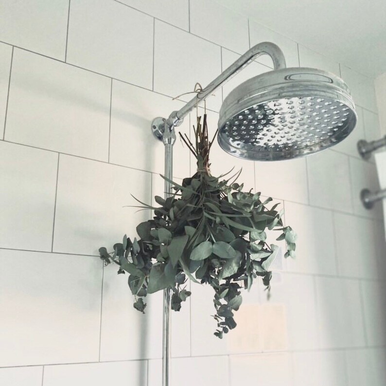 Eucalyptus Shower Bunch Steamer Etsy