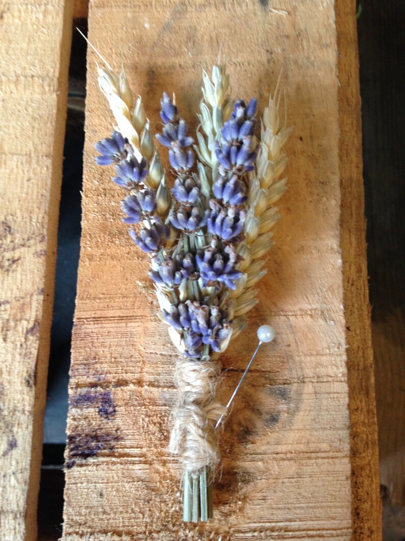 Dried English Lavender & Wheat Buttonhole Boutonniere Rustic Etsy