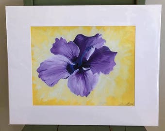 Hibiscus mauve