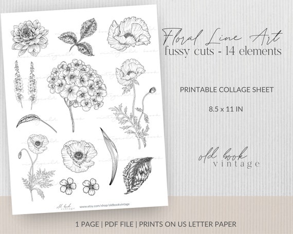 Floral Line Art Printable Fussy Cuts / Printable Floral Line Art Stickers / Digital Botanical Collage Sheet / Junk Journal Ephemera/
