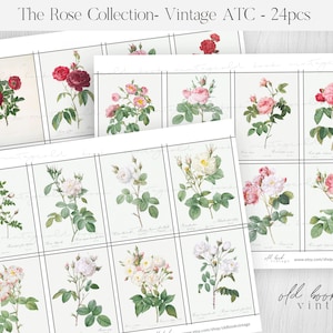 24 Stück-The Rose Collection-Vintage druckbare ATC-Karten / druckbare Vintage Floral Ephemera / Digitale Collage Sheet / Floral Rose Papier