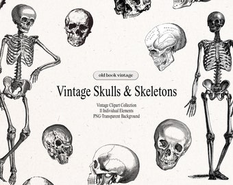 Vintage Skulls & Skeleton Clipart, 11 pcs, Free Commercial Use, Digital Vintage Halloween Clipart , Gothic Clipart,  Junk Journal Ephemera