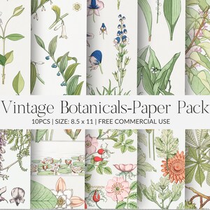 Vintage Botanical, Printable Paper Pack / 10pcs / 8.5x11 / Free Commercial Use / Digital Collage Sheet / Printable Vintage Scrapbook Paper