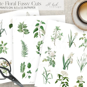 White Floral Printable Fussy Cuts, Vintage / Digital Botanical Collage Sheet / Printable Stickers / Junk Journal Embellishments / Ephemera