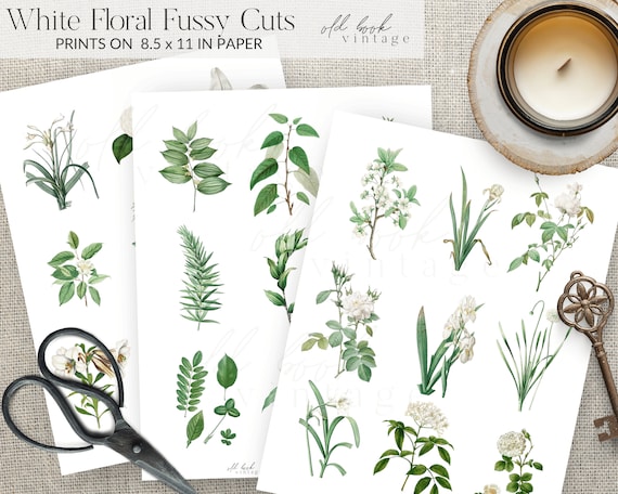 White Floral Printable Fussy Cuts Vintage / Digital Botanical - Etsy