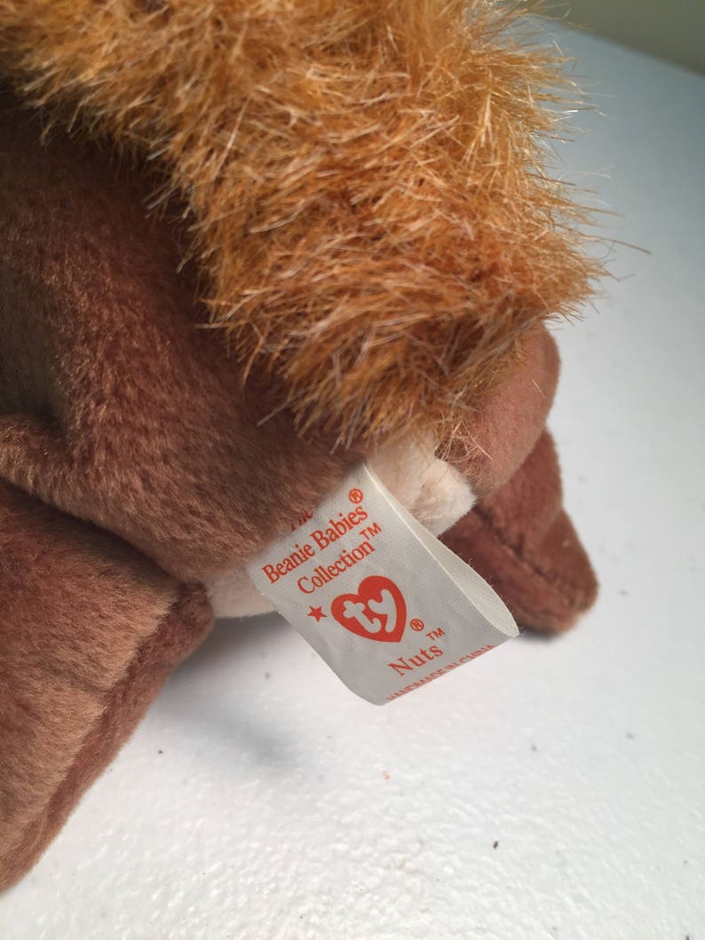 RARE Original nuts TY Beanie Baby 1996 Original Features and Error Etsy