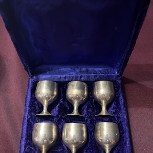 Elegant 1960s Silverplate Etched Cordial Goblets in Velvet Case – Set of 6 Vintage Treasures