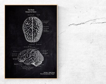 Herz Anatomie Poster Etsy