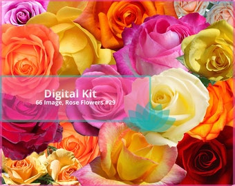 Rose Digital Kit Sofort Download 4 Blätter 66 Assorted Roses