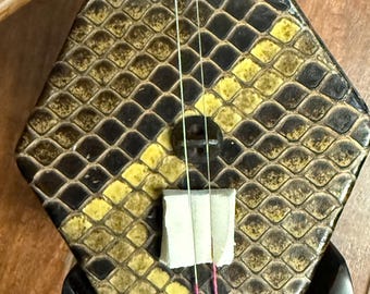 Erhu profesional de concierto solista del fabricante WANG Guoxing