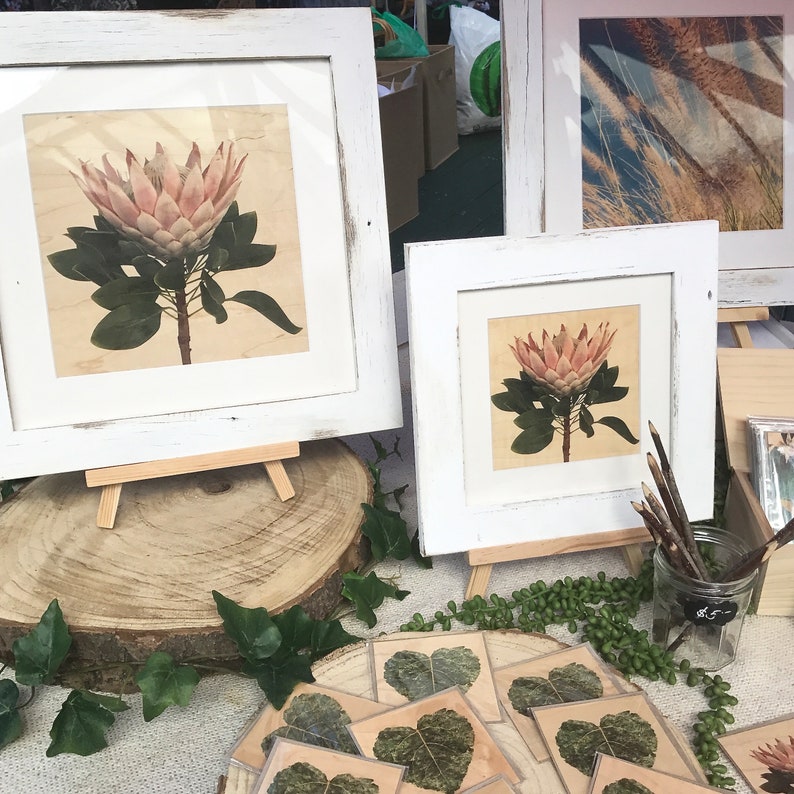 Eco Cards Wood Cards Wooden Cards Pink King Protea Botanical Cards Botanical Cards Protea Botanical print Nature Print Protea Card