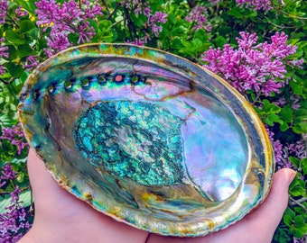 Sale! XL Abalone Shells ~ W/ Optional Wooden Display Stand / Perfect for Smudging, Resin Burning, Jewelry or Crystal Display, and More!