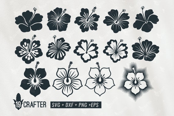 Free Free 137 Hibiscus Flower Outline Svg SVG PNG EPS DXF File
