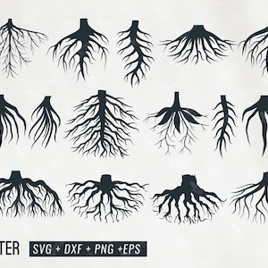 plant roots svg bundle, root svg, root clipart, root illustration, taproot, fibrous root svg png dxf eps file for cricut, cameo silhouette