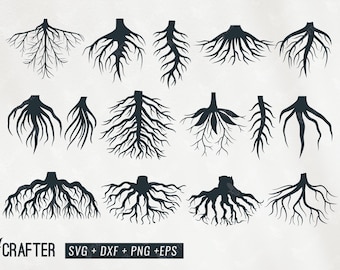 plant roots svg bundle, root svg, root clipart, root illustration, taproot, fibrous root svg png dxf eps file for cricut, cameo silhouette