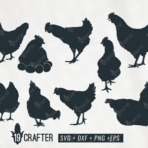 paquete svg de pollo de gallina, gallina de huevo, clipart gallina, silueta de detalle de calidad de la granja de pollo svg png dxf eps archivo cricut, cameo de silueta