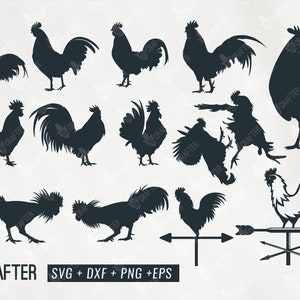 gallo svg bundle, luchador gallo clipart, polla svg, polla tiempo svg, silueta de gallo svg png dxf eps cricut archivo, silueta cameo
