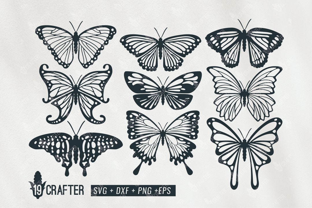 Detailed Butterfly Svg Bundle, Paper Craft Butterfly