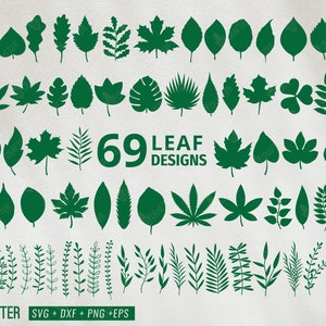 Paquete de hojas de papel SVG / Plantillas de hojas / Archivos de corte para Cricut / Silueta / Imágenes prediseñadas / Vector / Follaje SVG / Archivo de corte de hojas / Hoja de Monstera SVG