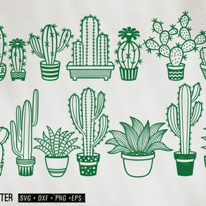 lindo cactus cactus svg bundle, cactus suculent clipart, cactus y suculentos archivo de corte, cactus suculento desierto silueta svg eps dxf