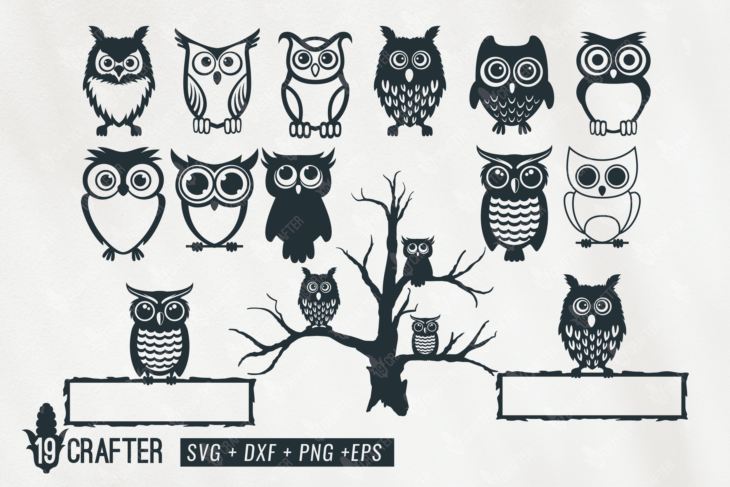 owl svg bundle, cute owl svg bundle, owl perched on tree, childish owl svg, owl character svg png dx