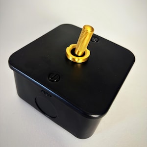 May include: A square black electrical junction box featuring a gold-coloured metal toggle switch mounted on the top surface. The switch has a textured, knurled grip and is secured by a circular gold base. Two black screws are visible on the top cover.