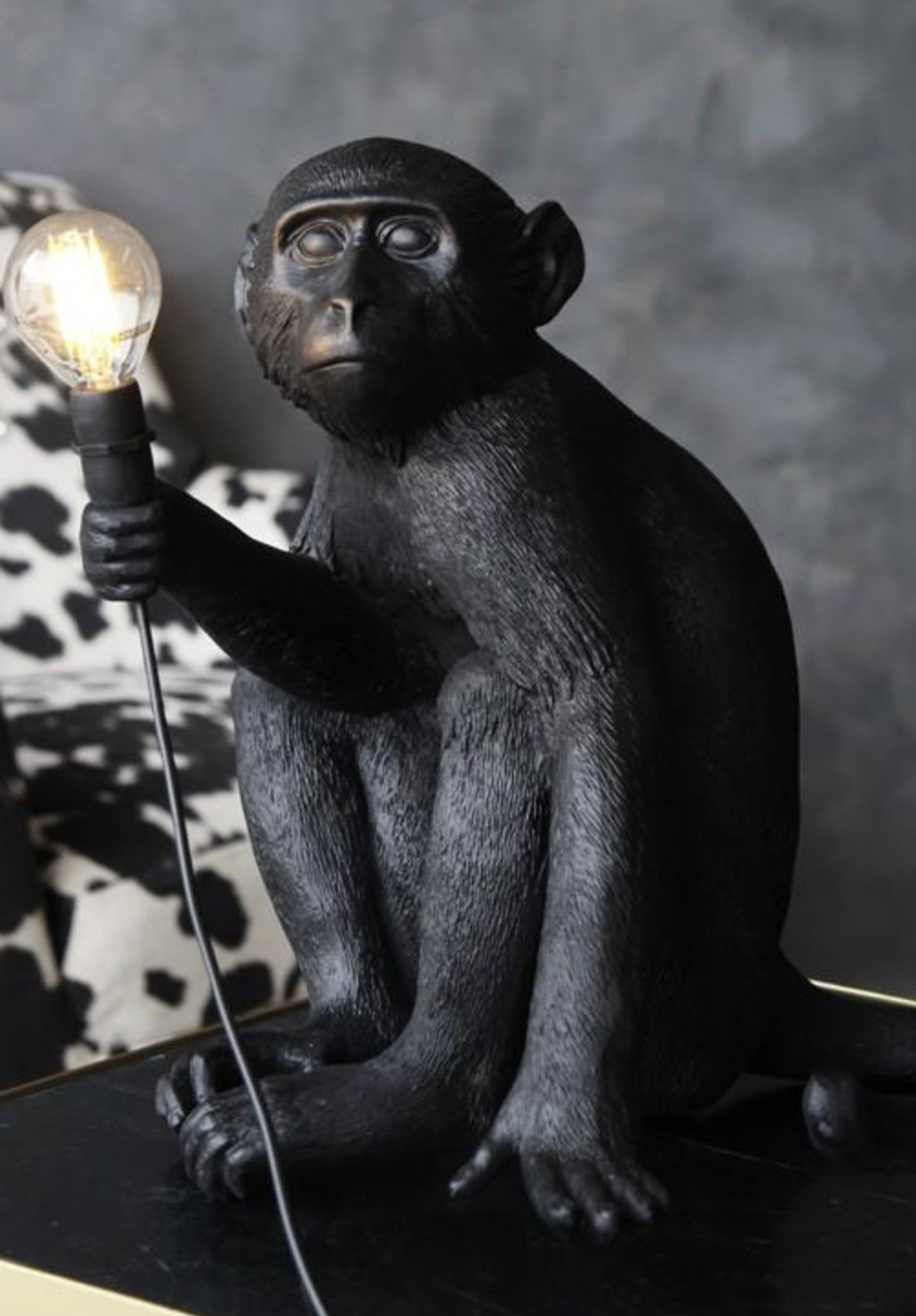 Odisha monkey sale ceiling light