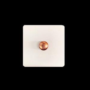 May include: A white ceramic light switch with a copper coloured toggle.
