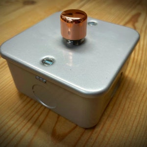 May include: A silver metal light switch plate with a copper coloured push button.