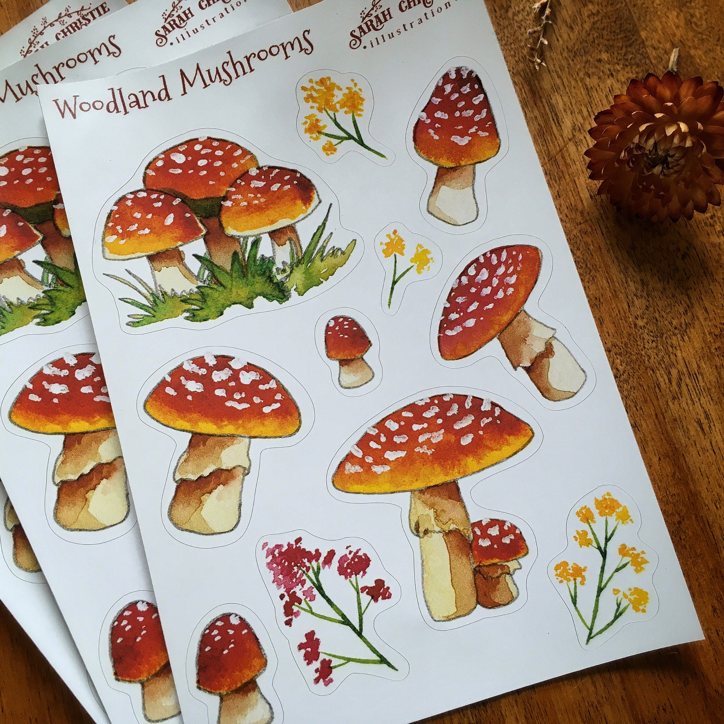 Mushrooms Sticker Sheet Planner Stickers Bullet Journal | Etsy