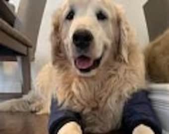 Protetor de cotovelo para cães: Almofada higroma pós-cirúrgica com espuma viscoelástica