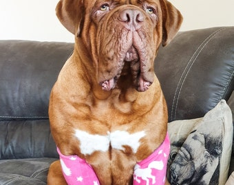 Protetores de cotovelo acolchoados em lã para cães, com suporte para calos e artrite.