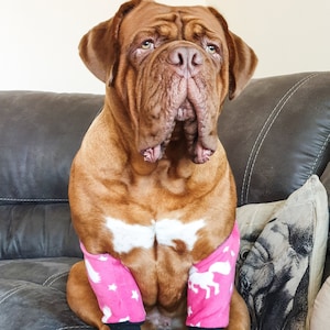 Hunde-Ellbogenschützer, bei Hornhaut, Hygroma und Arthritis, warmes FLEECE gepolsterte Unterstützung.Alle Größen erhältlich.