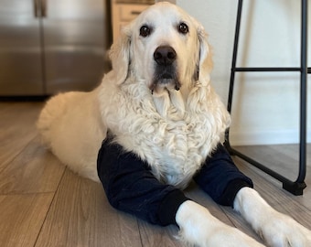 Protecteur de coude pour chien, rembourré avec brassard, offrant un soutien rembourré et une protection pour les coudes.