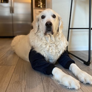 Elbow new arrivals butter petsmart