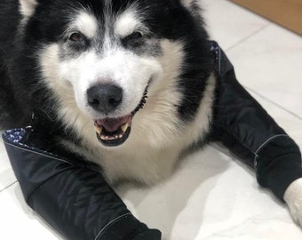 Waterproof Dog Leg Protector: Hygroma, Callus, Arthritis Padded dog sleeve Support, lick prevention.