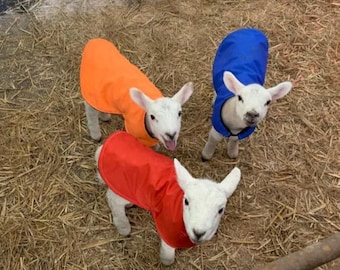 Waterproof Fleece-Lined Lamb Coat: Heat lamp alternative, 3 sizes, many colours