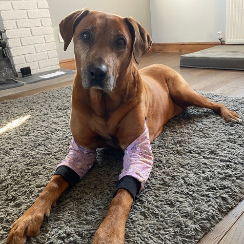 dog elbow protection pads