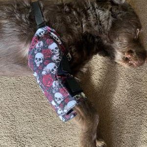 The Dog Elbow protector, a padded brace, offers cushioned support and bandage replacement, with an internal removable pocket.