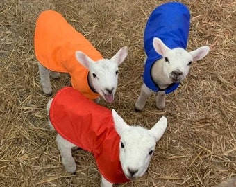 New Born Lamb coat , waterproof , heat lamp alternative, set of 2 or 4, washable,1 extra free when buying 4, limited time only