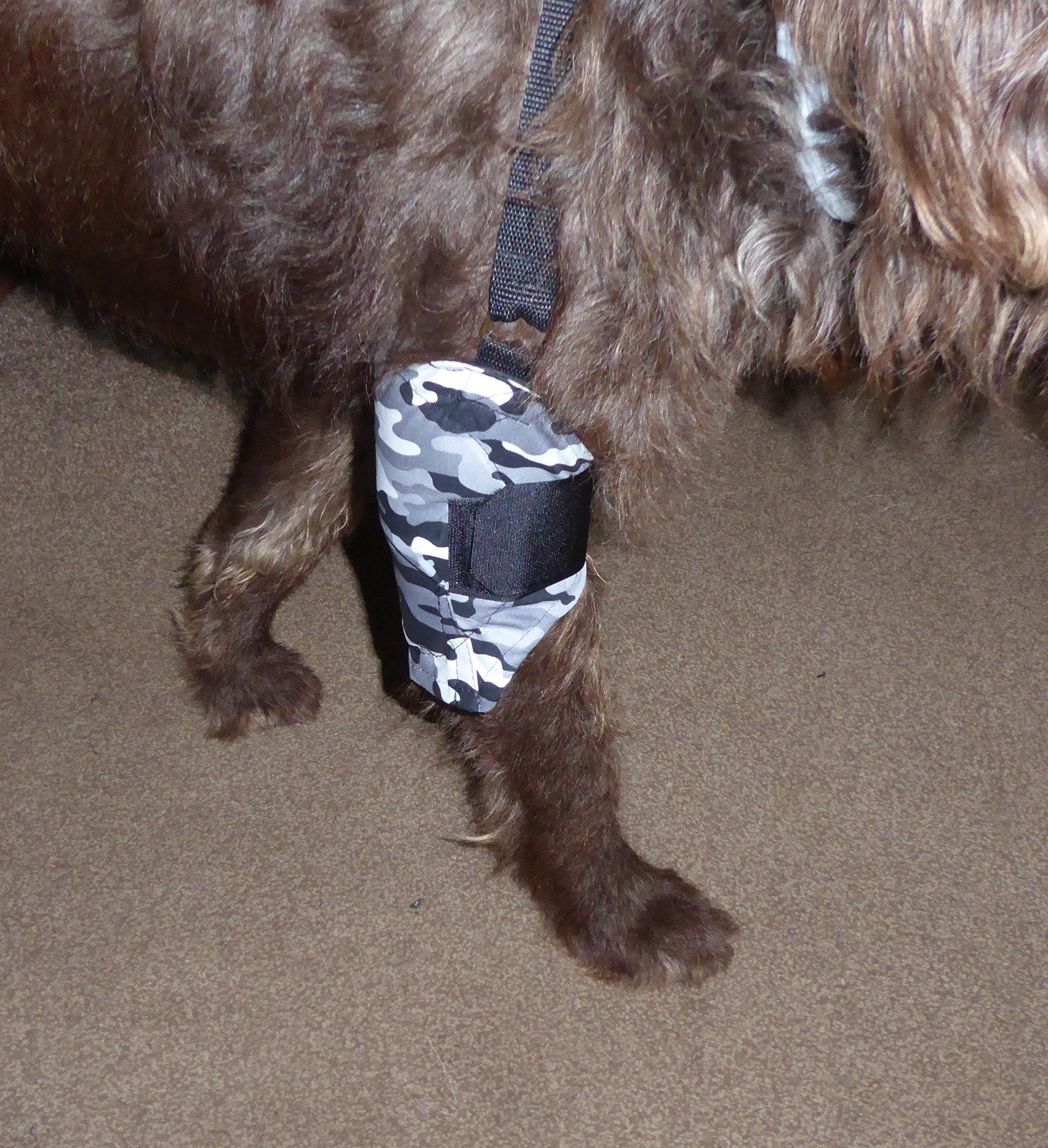 Protection des coudes pour chien, pantalon/pantalon rembourré