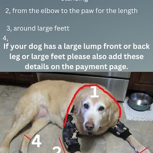 K&ouml;nnte beinhalten: Ein hellfarbiger Hund tr&auml;gt schwarze &Auml;rmel mit einem Hunde-Druckmuster. Das Bild enth&auml;lt den folgenden Text: Please order by the first measurement, 1, Elbow to elbow over your dogs back when standing, 2, from the elbow to the paw for the length, 3, around large feett, 4, If your dog has a large lump front or back leg or large feet please also add these details on the payment page.